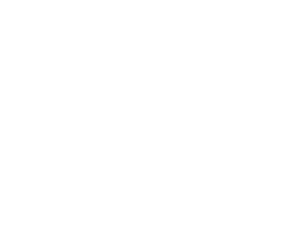 CONASEMS